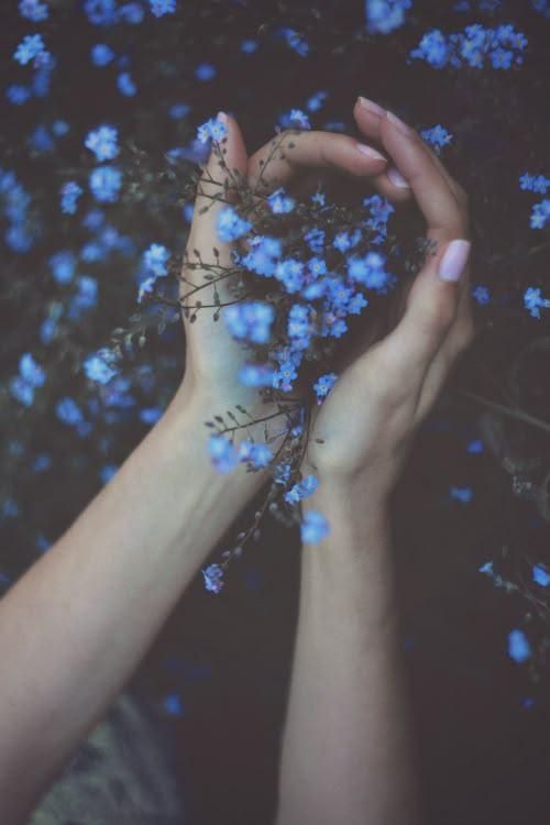 Enchanted Eve Blossom Array